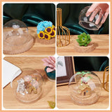 Glass Dome Cloche Cover Containers 10 CM (1 Piece) Bottles Bell Jars With Cork Lid For Gifts Decoration Plants Crafts