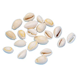 Sea Shell Beads Small Charms (Mixed Sizes 1 to 1.5 CMs, 50+ Pieces, 25 Grams Wt) With Hole Approx 2 MM For Jewellery Making Crafts Decoration