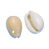 Sea Shell Beads Small Charms (Mixed Sizes 1 to 1.5 CMs, 50+ Pieces, 25 Grams Wt) With Hole Approx 2 MM For Jewellery Making Crafts Decoration