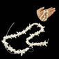 Imitation Jewellery Making Stone Beads 13 to 15 MM (1 String, 30-32 Beads) Hole:0.5 MM Starfish White Synthetic For DIY Arts Crafts [ac-bds-00088-m13]