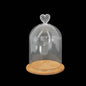 Glass Dome Cloche Cover Containers (1 Piece) 3.5x5.5 Inch Bottles Decoration Bell Jars With Wooden Heart Lid Base Food Storage Terrarium Plants [jefs-pack-boxnsupp-00120-m2]