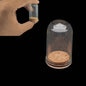 Glass Dome Cloche Cover Containers 4.4x2.5 CM (5 Pieces) Bottles Bell Jars With Cork Lid For Gifts Decoration Plants Crafts [jefs-pack-boxnsupp-00122-m3]