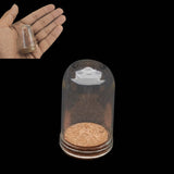Glass Dome Cloche Cover Containers 4.4x2.5 CM (5 Pieces) Bottles Bell Jars With Cork Lid For Gifts Decoration Plants Crafts [jefs-pack-boxnsupp-00122-m3]