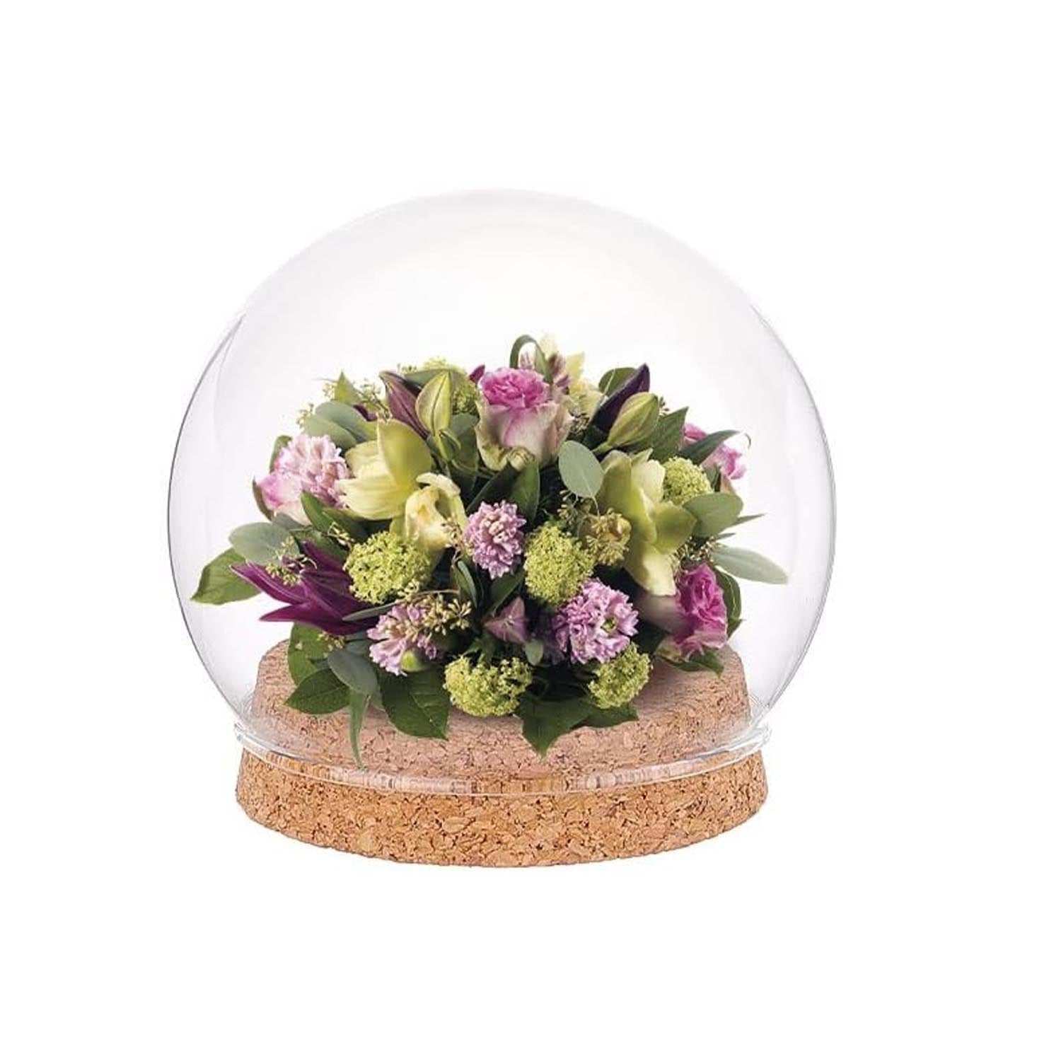 Glass Dome Cloche Cover Containers 10 CM (1 Piece) Bottles Bell Jars With Cork Lid For Gifts Decoration Plants Crafts
