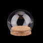 Glass Dome Cloche Cover Containers 10 CM (1 Piece) Bottles Bell Jars With Cork Lid For Gifts Decoration Plants Crafts