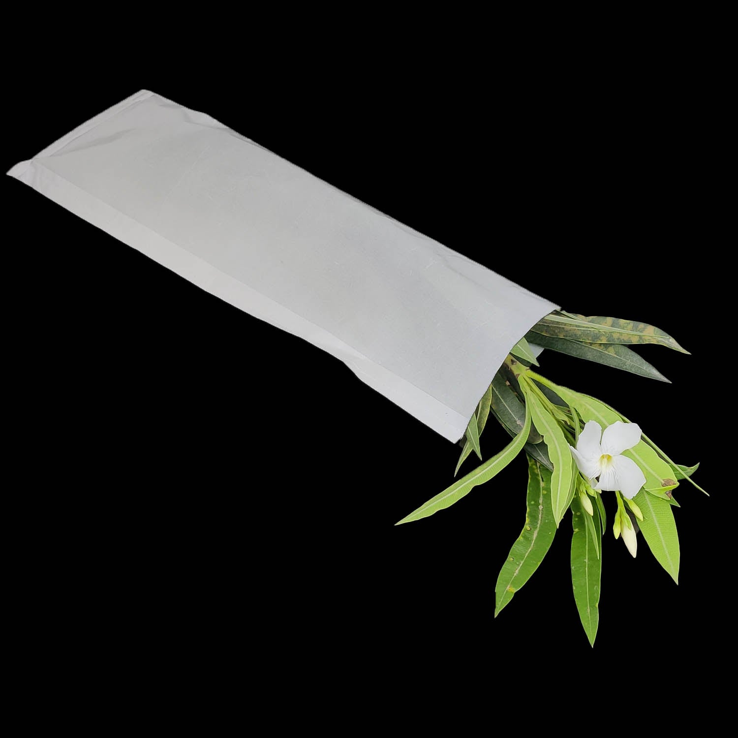 Stitched Butter Paper Covers Glassine Pouches Pollination Seeds Agriculture Storage Bags Slightly Oil Grease Proof Food Grade Packing