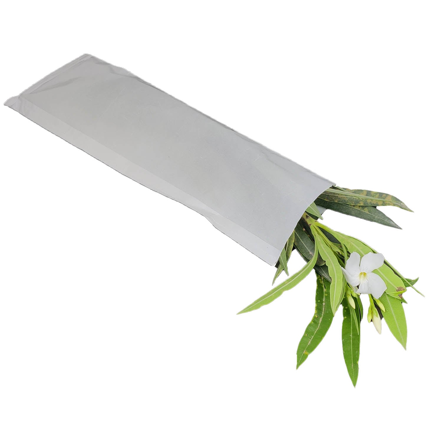 Stitched Butter Paper Covers Glassine Pouches Pollination Seeds Agriculture Storage Bags Slightly Oil Grease Proof Food Grade Packing