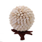 Handmade Sea Shell Crafts Ball With Stand For Decoration Aquarium Gift Memoir Round White 13 CM (1 Piece) [ac-artifctcrfts-00006-m2]