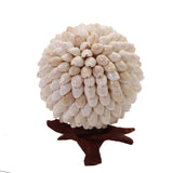 Handmade Sea Shell Crafts Ball With Stand For Decoration Aquarium Gift Memoir Round White 13 CM (1 Piece) [ac-artifctcrfts-00006-m2]