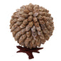 Handmade Sea Shell Crafts Ball With Stand For Decoration Aquarium Gift Memoir Round Grey 16 CM (1 Piece) [ac-artifctcrfts-00006-m6]