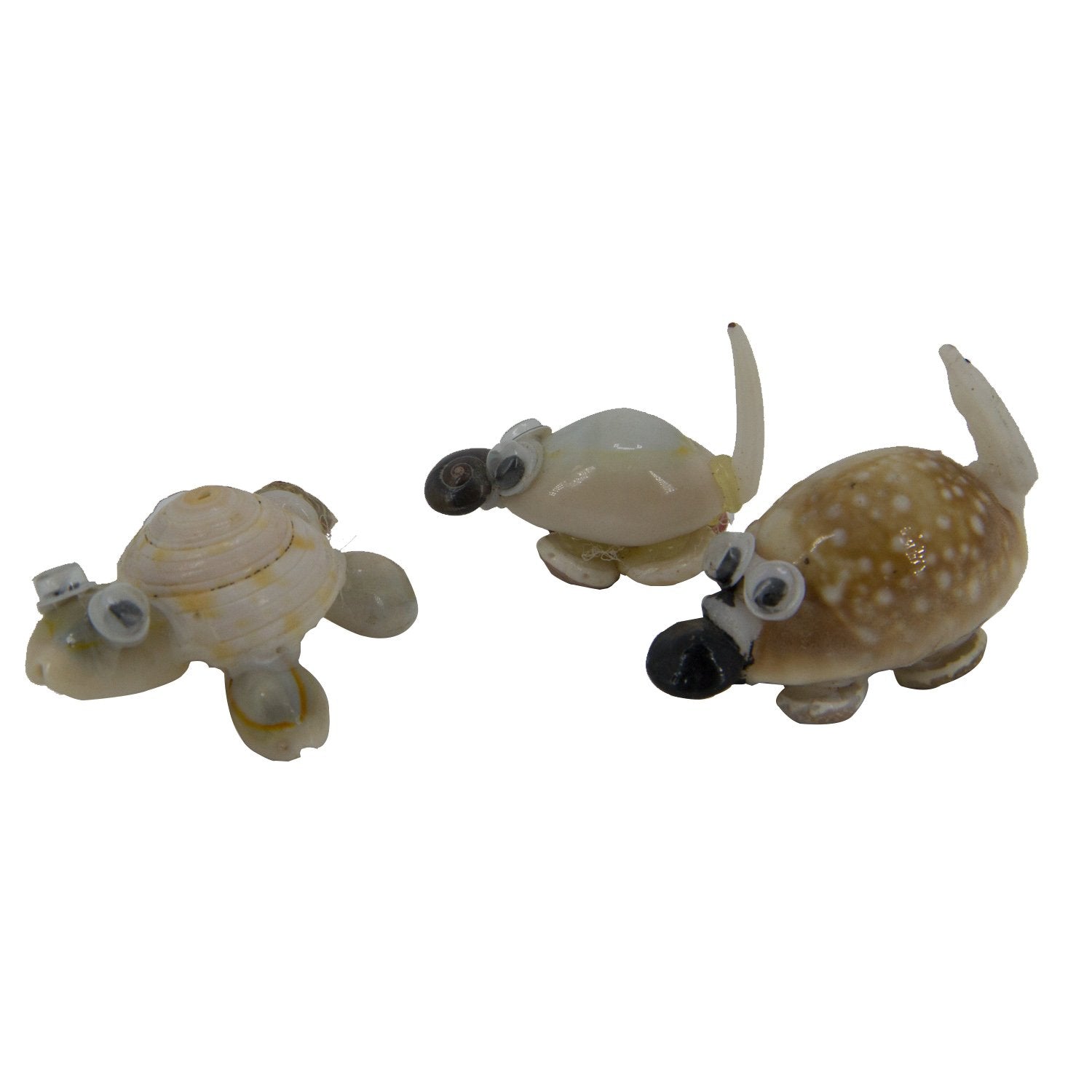 Handmade Sea Shell Crafts Miniature Toys Mixed Size 3.5 cm to 5 cm Range Assorted Animal Shapes Random Shade (Sold as 1 piece) [ac-artifctcrfts-00010-m1]