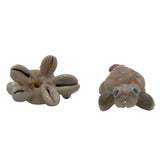 Handmade Sea Shell Crafts Miniature Toys Mixed Size 3.5 cm to 5 cm Range Assorted Animal Shapes Random Shade (Sold as 1 piece) [ac-artifctcrfts-00010-m1]