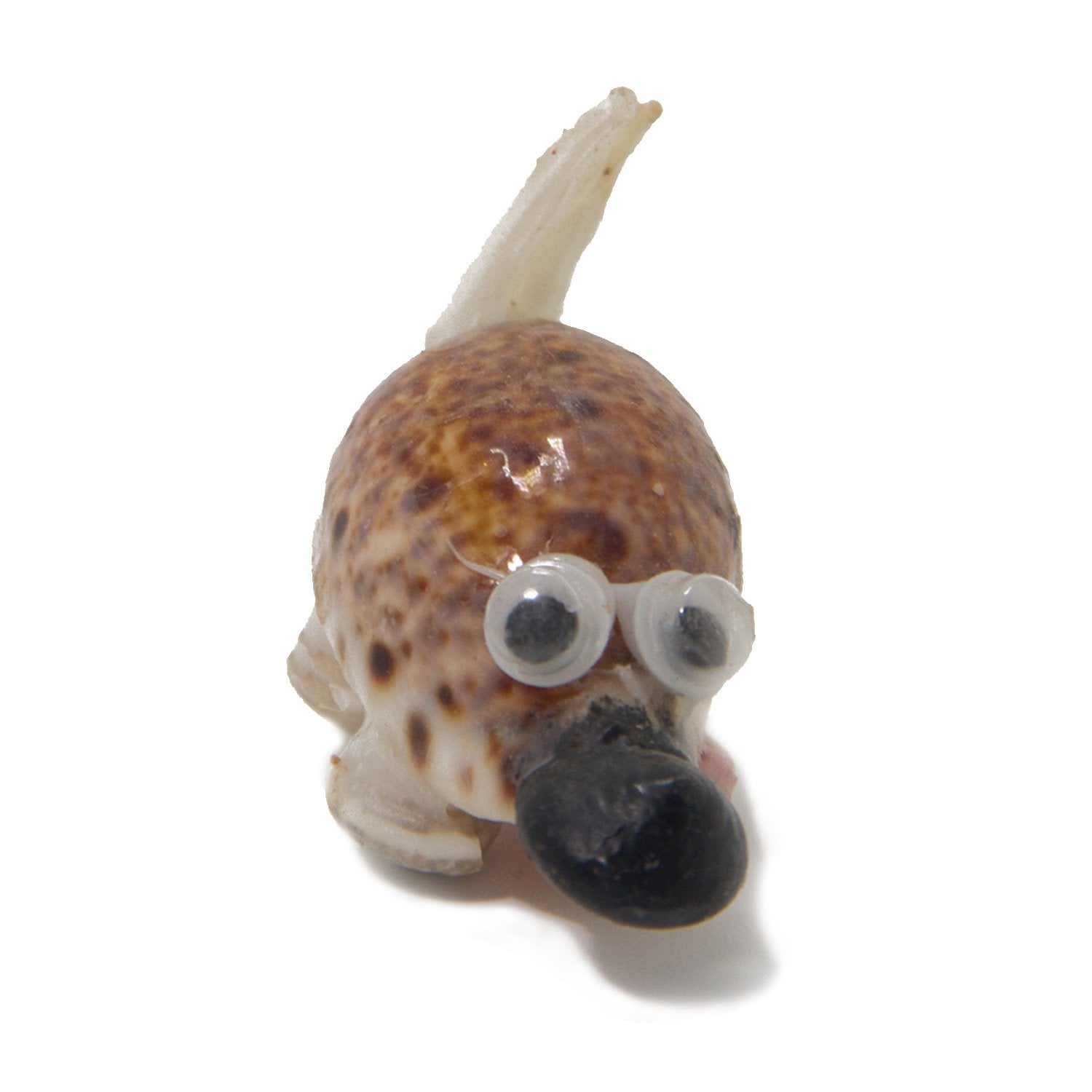Handmade Sea Shell Crafts Miniature Toys Mixed Size 3.5 cm to 5 cm Range Assorted Animal Shapes Random Shade (Sold as 1 piece) [ac-artifctcrfts-00010-m1]