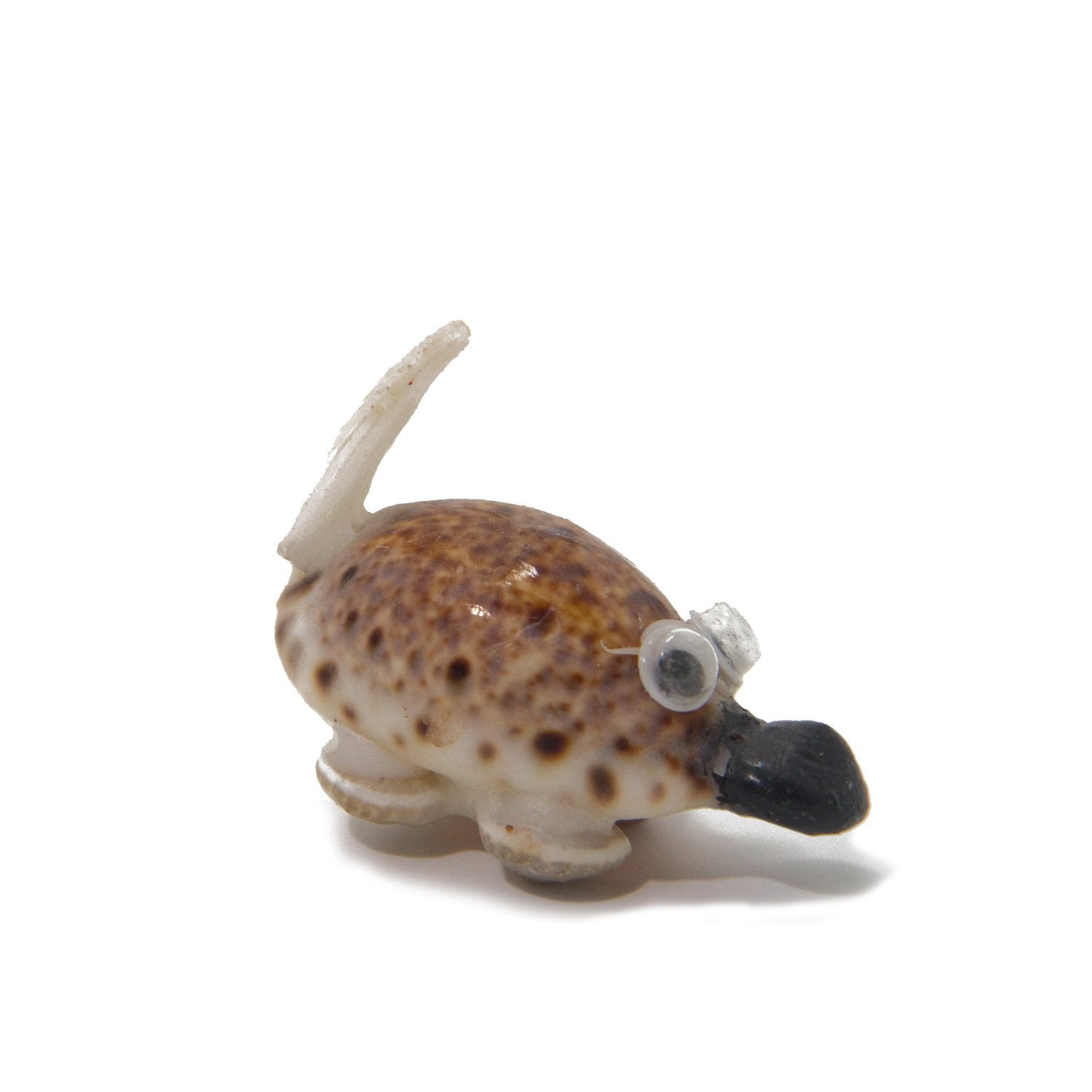Handmade Sea Shell Crafts Miniature Toys Mixed Size 3.5 cm to 5 cm Range Assorted Animal Shapes Random Shade (Sold as 1 piece) [ac-artifctcrfts-00010-m1]