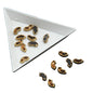 Glue On Kundan Stones Flat Back Metal Glass Moon C Shape 9x4 MM (60 Pieces) Golden Brown For Jewellery Making Garment Embellishments [10 GMs] [jefs-embelshcabo-00121-m8]
