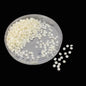 Plastic Half Pearls (500+ Pieces) 5x1.5 MM Beads Half Round With Stripes Off White For Jewellery Making Garments Crafts [10 Grams] [jefs-embelshcabo-00125-m9]