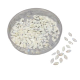 Plastic Half Pearls Pastable Embellishments (250 Pieces) 7.2x3.5x1.2 MM Beads Oval With Stripes Off White For Jewellery Making Garments Nails Arts Crafts And Decoration [5 Grams] [jefs-embelshcabo-00125-m5]