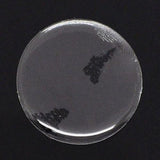 Epoxy Resin Dome Stickers Adhesives Round 25x2 MM / 1 Inch (Pack of 10 Pieces) Clear Transparent Color For Jewellery Making DIY Crafts Magnets Photos Drawing Painting [jefs-embelshcabo-00129-m8]