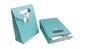 Plain Paper Gift Bags 16x12cm Premium Designer [jefs-giftbagbox-00022]