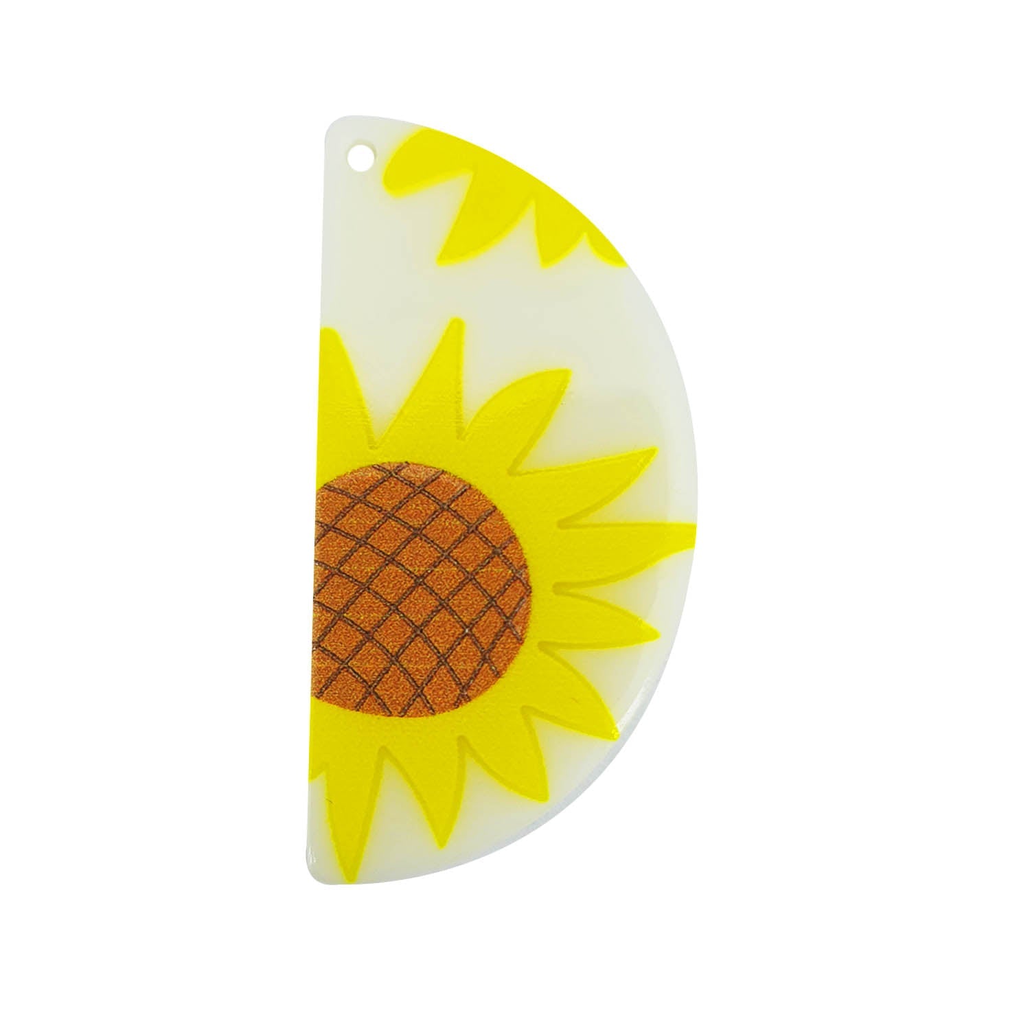 3D Printed Acrylic Pendant With Resin (1 Set Of 6 Shapes) Mixed Shapes Size 30 to 45 MM Range Multicolor For Jewellery Making Crafts [jefs-pndt-gnrl-00001-combo5]